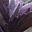 Img.VTax2714.Ex1.Img5