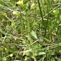 Img.VTax2715.Ex1.Img5