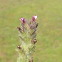 Img.VTax2716.Ex1.Img4