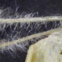 Img.VTax2720.Ex3.Img4