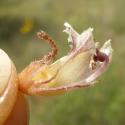 Img.VTax2754.Ex1.Img6