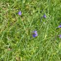 Img.VTax2763.Ex1.Img5