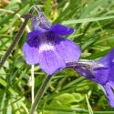 Img.VTax2763.Ex1.Img6