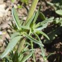 Img.VTax2786.Ex1.Img6