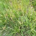Img.VTax2787.Ex1.Img3
