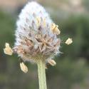 Img.VTax2800.Ex1.Img1