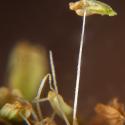 Img.VTax2802.Ex3.Img4