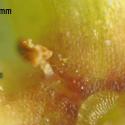 Img.VTax2821.Ex2.Img9
