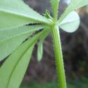 Img.VTax2844.Ex1.Img3