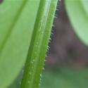 Img.VTax2844.Ex1.Img4