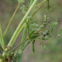 Img.VTax2848.Ex1.Img3