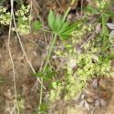 Img.VTax2858.Ex1.Img5