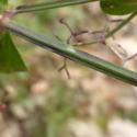 Img.VTax2858.Ex1.Img6