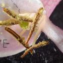 Img.VTax2868.Ex3.Img9