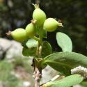 Img.VTax2874.Ex1.Img8
