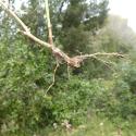 Img.VTax2876.Ex3.Img1