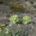 Img.VTax2890.Ex2.Img1
