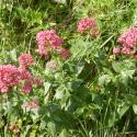 Img.VTax2902.Ex2.Img3