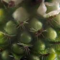 Img.VTax2908.Ex1.Img5