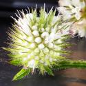Img.VTax2908.Ex1.Img6