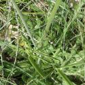 Img.VTax2913.Ex1.Img3
