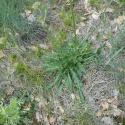 Img.VTax2913.Ex1.Img5