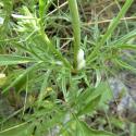 Img.VTax2924.Ex1.Img3