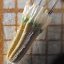 Img.VTax2924.Ex2.Img3