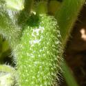 Img.VTax2934.Ex1.Img5
