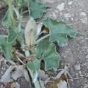Img.VTax2934.Ex2.Img1