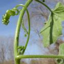 Img.VTax2935.Ex1.Img6