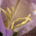 Img.VTax2942.Ex3.Img1