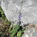 Img.VTax2943.Ex1.Img3
