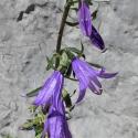 Img.VTax2943.Ex1.Img4
