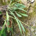 Img.VTax2946.Ex1.Img5