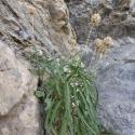 Img.VTax2965.Ex1.Img3