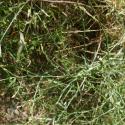 Img.VTax2991.Ex4.Img1