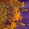Img.VTax2993.Ex4.Img3