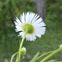 Img.VTax3002.Ex1.Img6
