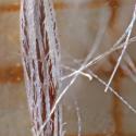 Img.VTax3002.Ex2.Img5