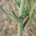 Img.VTax3011.Ex2.Img3