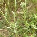Img.VTax3019.Ex1.Img3