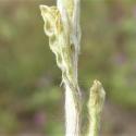 Img.VTax3019.Ex1.Img6