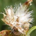 Img.VTax3029.Ex2.Img6