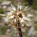 Img.VTax3029.Ex2.Img7