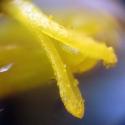Img.VTax3041.Ex3.Img6
