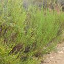 Img.VTax3046.Ex1.Img9