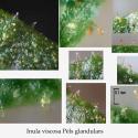 Img.VTax3046.Ex2.Img1
