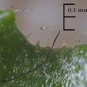 Img.VTax3046.Ex2.Img8