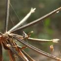 Img.VTax3065.Ex2.Img3